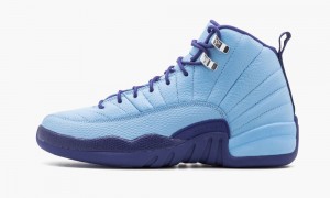Nike Air Jordan 12 Retro GG Schoenen Kinderen Metal Zilver Nederland | 824603-DVQ