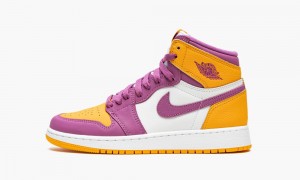 Nike Air Jordan 1 Retro High OG GS 'Brotherhood' Schoenen Kinderen Paars Goud Licht Nederland | 192703-VAR