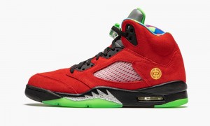 Nike Air Jordan 5 Retro 'What The' Schoenen Heren Paars Nederland | 514238-AQH