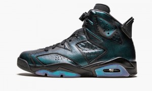 Nike Air Jordan 6 Retro AS 'All Star Game / Chameleon' Schoenen Heren Zwart Wit Nederland | 857164-NAE