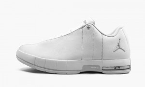 Nike Air Jordan TE 2 Low Schoenen Heren Wit Platina Nederland | 137852-TWS