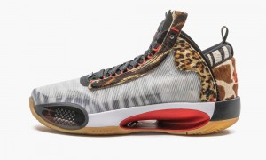 Nike Air Jordan XXXIV TATUM PE (GS) 'Jayson Tatum PE' Schoenen Kinderen Gekleurd Rood Nederland | 076129-CVZ