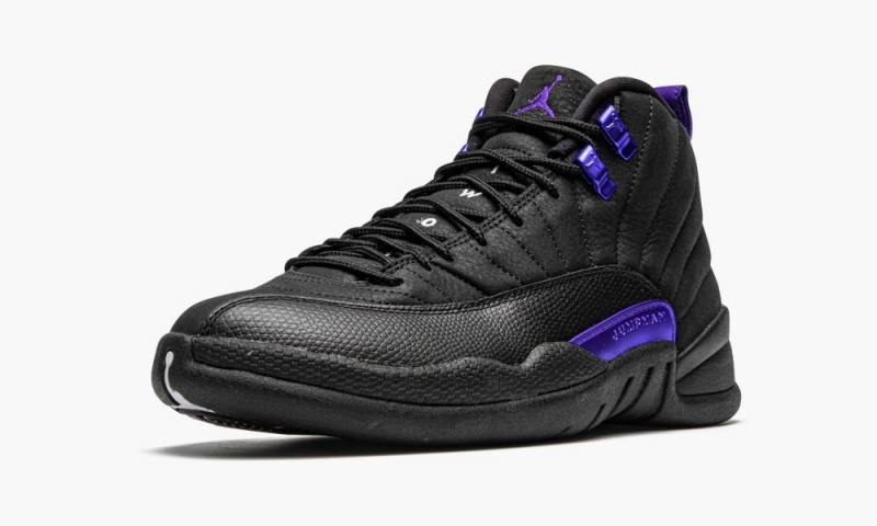 Nike Air Jordan 12 Retro 'Dark Concord' Schoenen Heren Zwart Nederland | 598201-DHP
