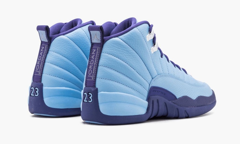Nike Air Jordan 12 Retro GG Schoenen Kinderen Metal Zilver Nederland | 824603-DVQ