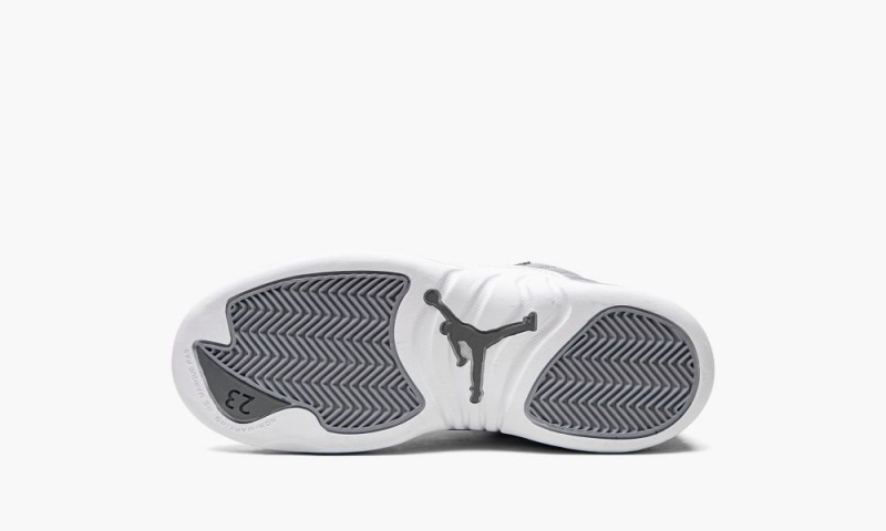 Nike Air Jordan 12 Retro 'Stealth' Schoenen Kinderen Wit Grijs Nederland | 957143-SMI