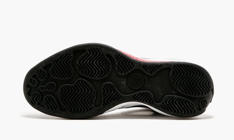 Nike Air Jordan 2010 Schoenen Heren Wit Zwart Rood Nederland | 035189-HFL