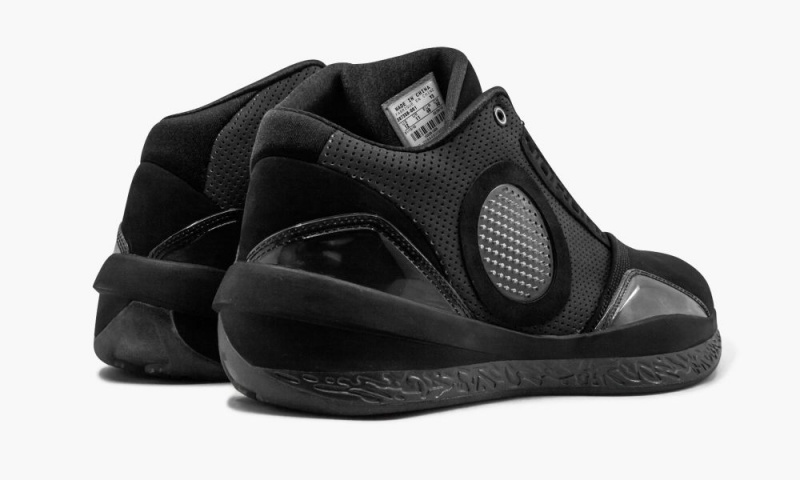 Nike Air Jordan 2010 Schoenen Heren Zwart Donkergrijs Nederland | 084167-LJV