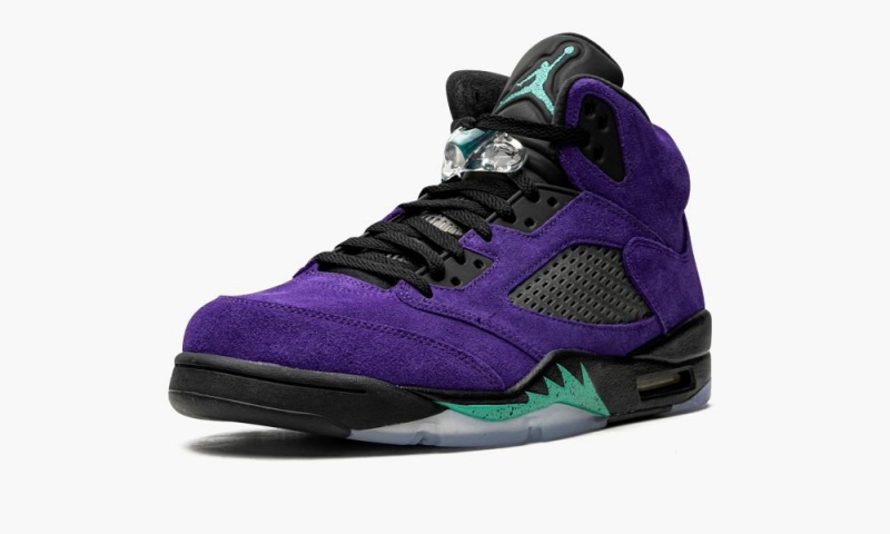 Nike Air Jordan 5 Retro 'Alternate Grape' Schoenen Heren Paars Zwart Nederland | 481620-VBN