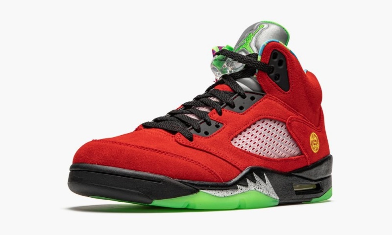 Nike Air Jordan 5 Retro 'What The' Schoenen Heren Paars Nederland | 514238-AQH