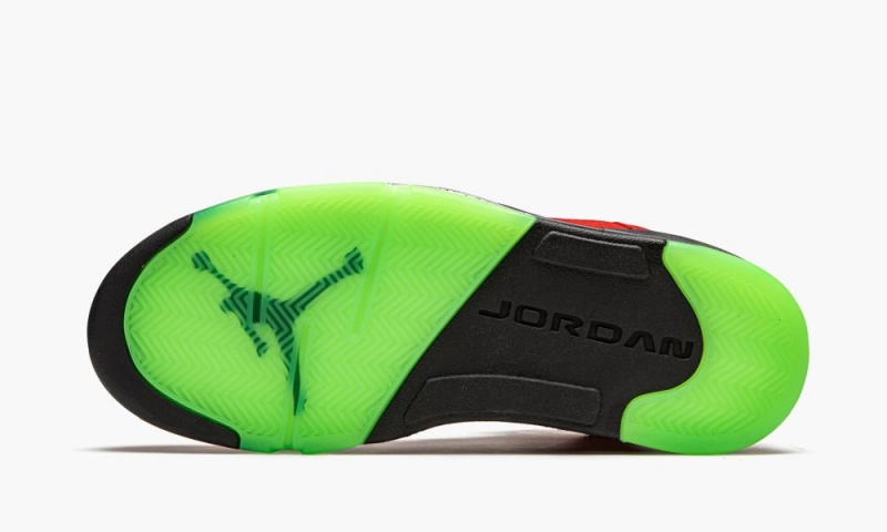 Nike Air Jordan 5 Retro 'What The' Schoenen Heren Paars Nederland | 514238-AQH