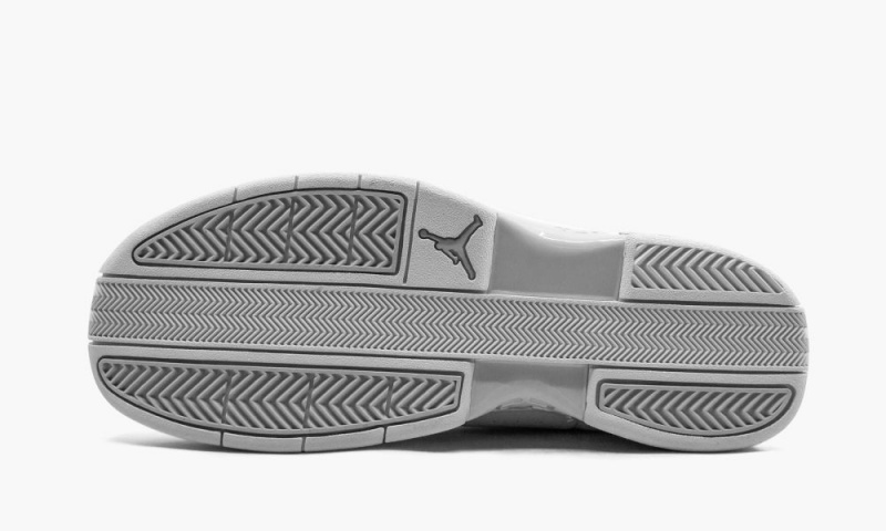 Nike Air Jordan TE 2 Low Schoenen Heren Wit Platina Nederland | 137852-TWS