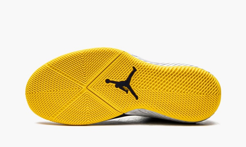 Nike Air Jordan Why Not Zer0.2 'Michigan Wolverines' Schoenen Heren Donkerblauw Wit Nederland | 387069-ESP