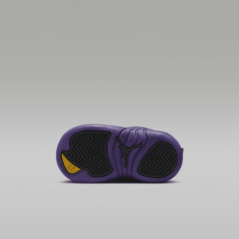 Nike Jordan 12 Retro Schoenen Kinderen Zwart Paars Nederland | 382046-IOR