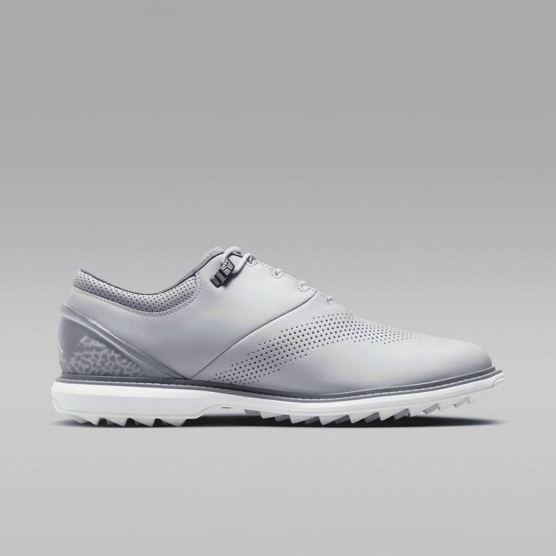 Nike Jordan ADG 4 Schoenen Heren Grijs Nederland | 874193-CVR