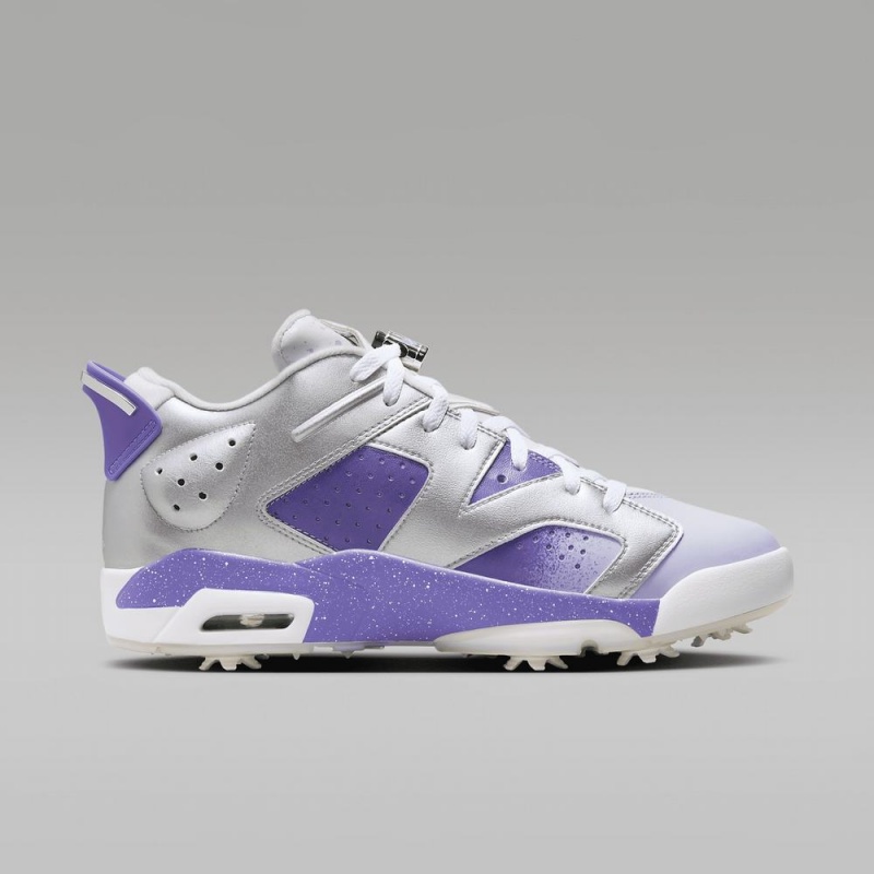 Nike Jordan Retro 6 G NRG Schoenen Heren Metal Zilver Paars Nederland | 369214-CHK